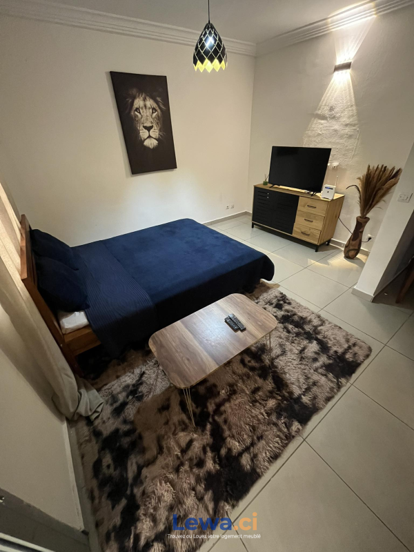 Salon de l'appartement