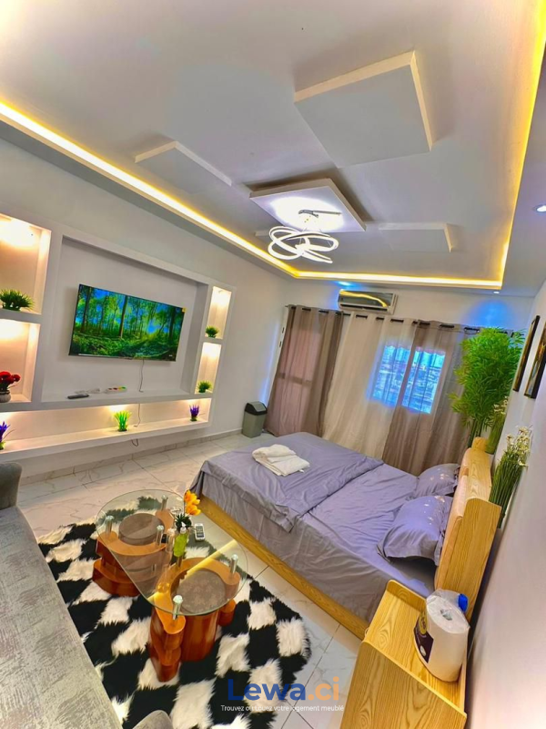 Salon de l'appartement