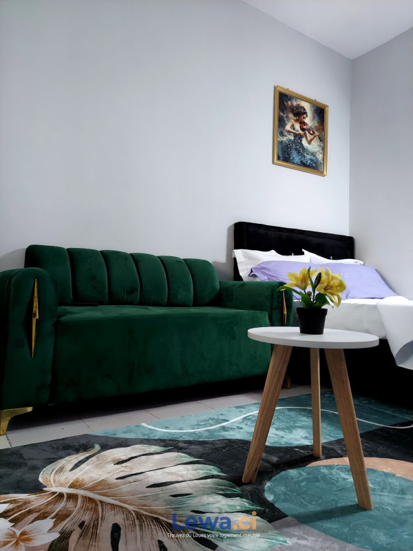 Salon de l'appartement